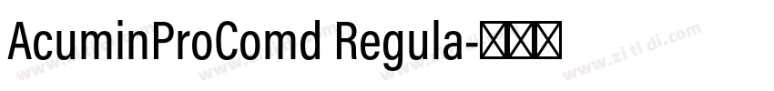 AcuminProComd Regula字体转换
